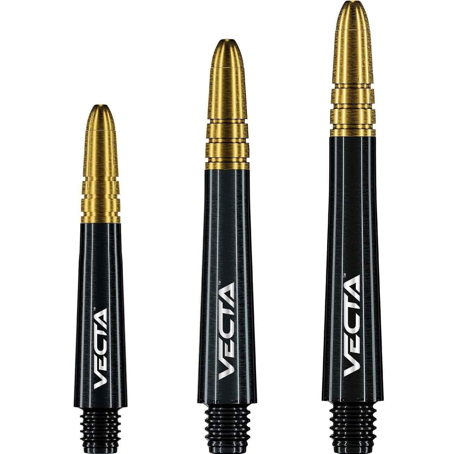 Vecta Dartpfeile mit goldener Spitze und schwarzem Schaft – präzise Darts für Profis