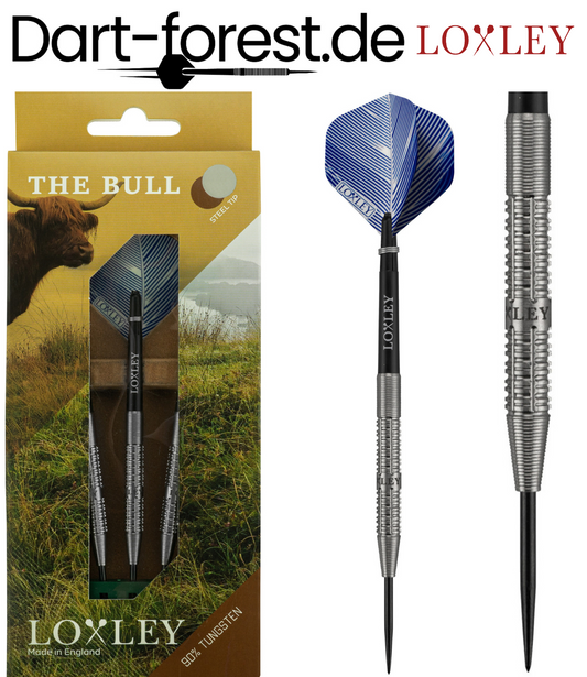 Loxley - The Bull Launch 2022 - Steeldart